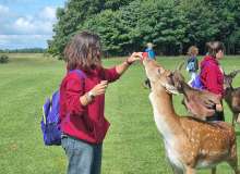 paesaggi_fauna_irlanda